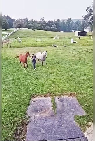 Girls Love Their Horses