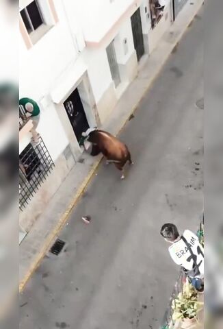 57 Year Old Gored To Death In The Street During Festivities In Ubrique Spain