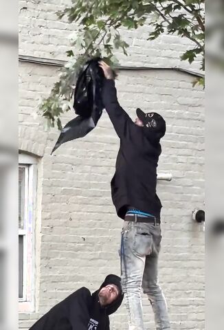 Homeless Pest Control Services