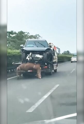 Recovery Truck Two In One