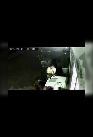 Man On His Laptop Calmly Executed By Hitman On A Motorbike
