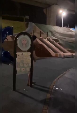 Woman Attempts To Film Man She Caught Jerking Off In A Playground