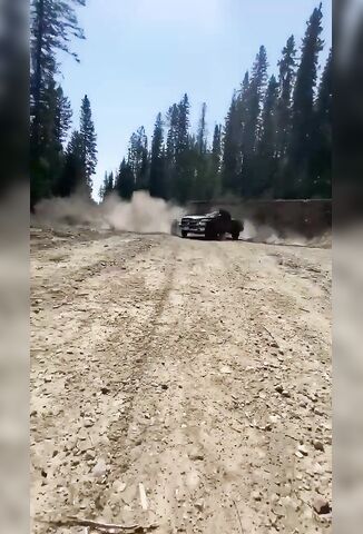 Bright Guy Pulls A Tree Down With His Pickup