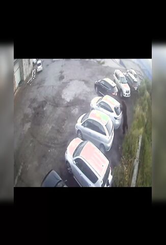 Bear Attempts To Kidnap A Man Leaving Work Later Killed A Pensioner