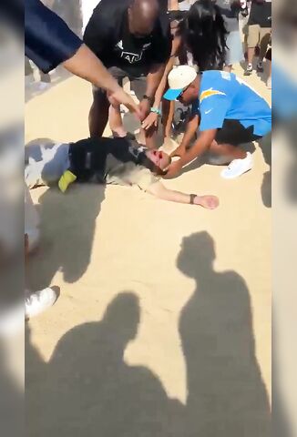Opposing Fan Left Knocked Out And Leaking