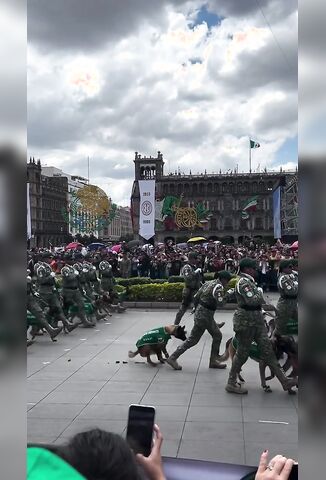 Dog Needs A Shit During Parade