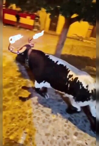 Flaming Bull Flips Moron Into Space