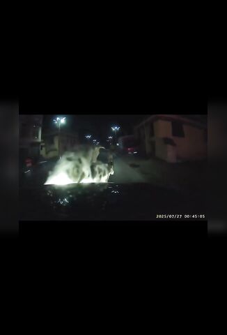 Driver Cock Blocks The Cows
