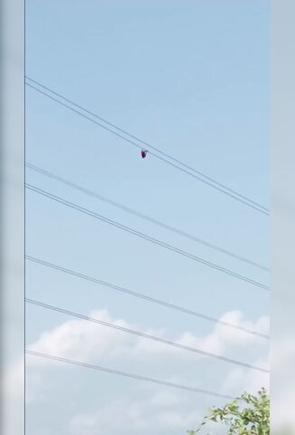 Never Mind The Drop That's An Impressive Distance To Shimmy