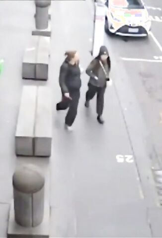 Crazy Woman In Sydney Stabs A Random Girl Walking Down The Street