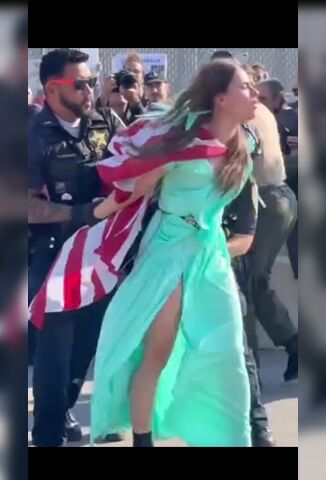 Some Arrests Are Just Hard To Watch