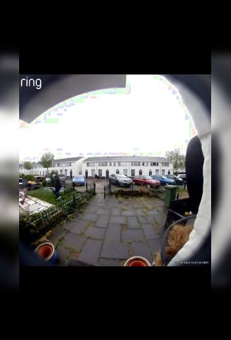 Neighbourly Dispute Gets Settled Quickly