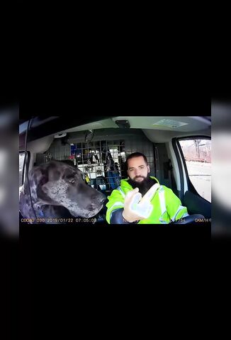 Off Duty Cop Punches Driver In The Face During Road Rage Argument