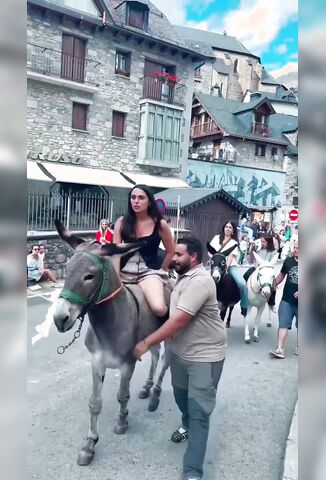 We Can See Your Knickers