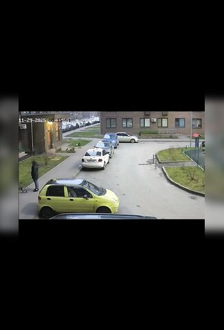 Woman Waiting With Her Dog Gets A Shock When Jumper Lands On A Nearby Car