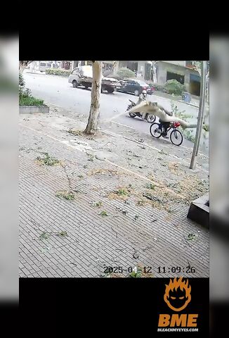 Old Dude ON A Bicycle Squashed By A Falling Tree