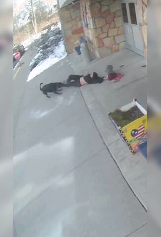 Mother Protects Her Child From A Loose Dog On The Street