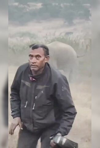 Man Trampled And Ragdolled To Death By Wild Elephant