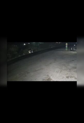 4 Pilgrims Run Down By Trucker In India Who Fails To Stop