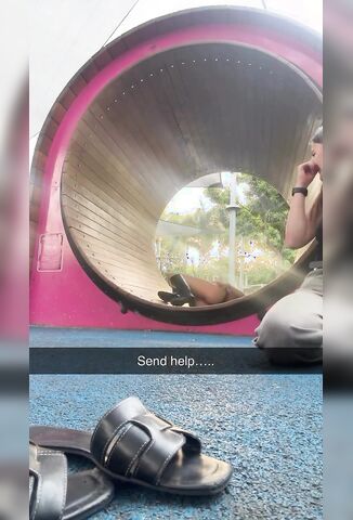 That's Why Strippers Use Poles Not Hamster Wheels