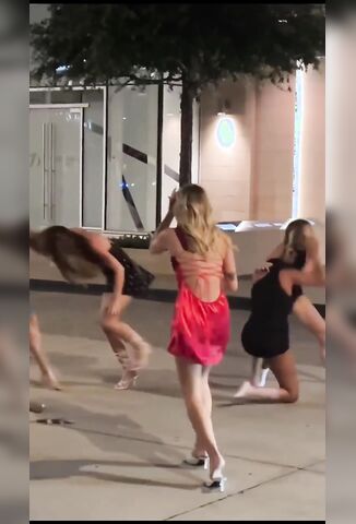 How Many Vaginas Can You Spot Here