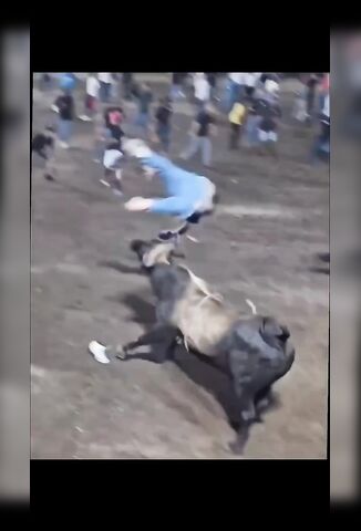 Fatass Does The Perfect Flip Taking On A Bull