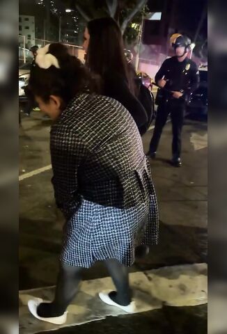 LAPD Shot A Pregnant Woman In The Stomach With A 40mm Rubber Bullet