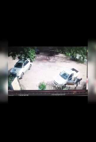 Passenger Ties To Escape Death But Fails