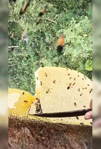 You Think Your Job Sucks Try Doing His Every Day