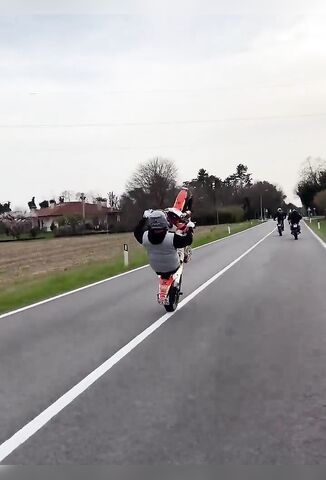 Double Tapped Wheelie King