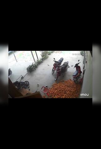 Biker Hits Wall Hard