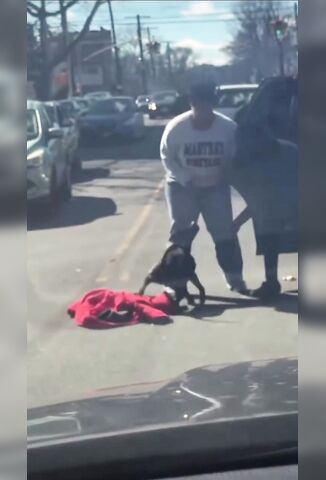 Pitbull Wants To Eat Women's Hand Downtown