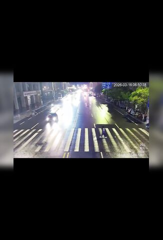 He Carefully Crosses The Road And Waits Patiently