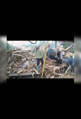 Female Worker Pulled Into Wood Chipper