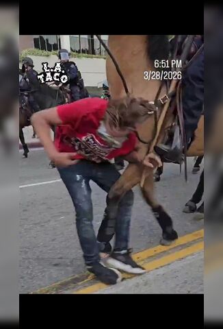 No Kings Protester FAFO