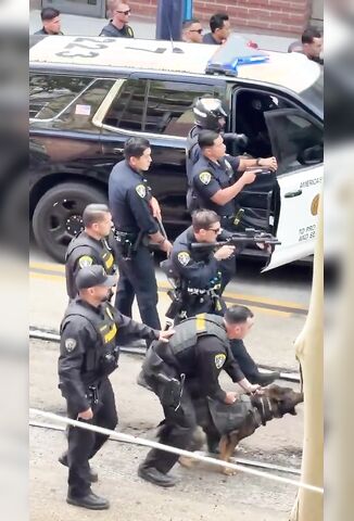 Man With A Stick Versus And Army