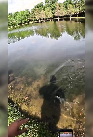 When Nature Steals Your Dinner