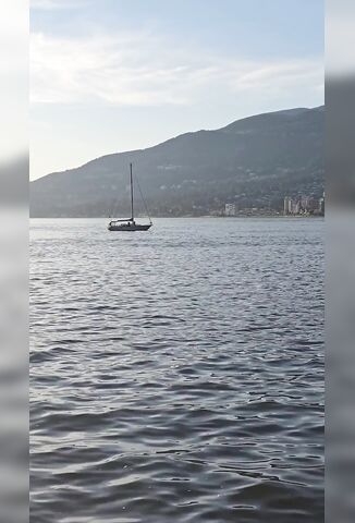 Jet Ski Hits A Whale