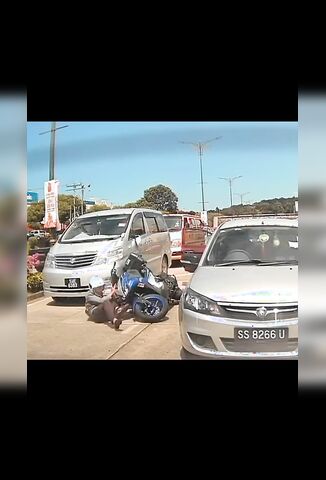 Car Door Scorpions Biker