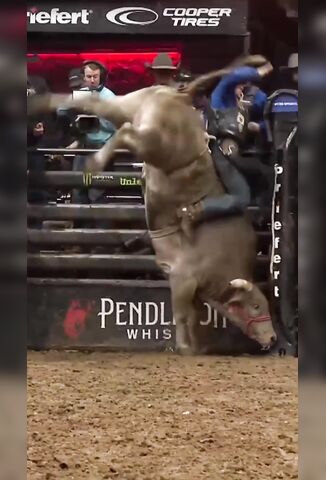 Lucky Cowboy