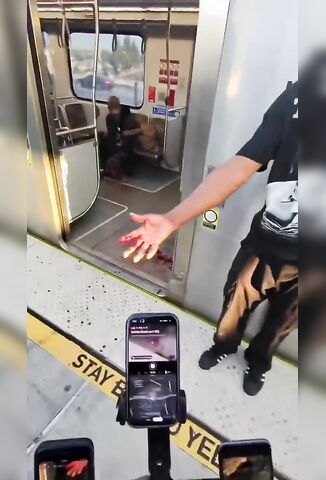 Mans Pitbull Bit Passenger On The Metro