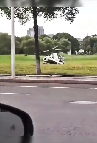 Angry Chopper Flip Flops Occupants